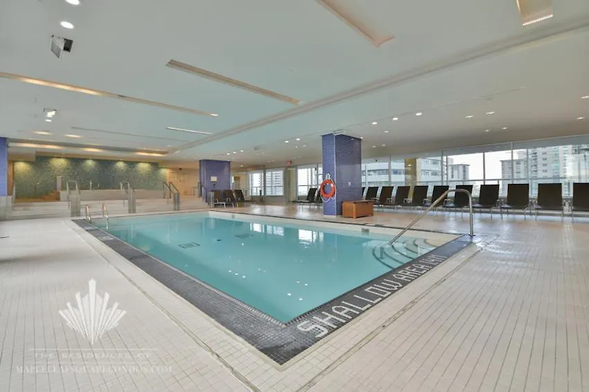 Apartment Gorgeous Condo In Downtown Near Cn Tower Toronto Canada